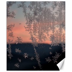 Hardest-frost-winter-cold-frozen Canvas 20  X 24  by Amaryn4rt