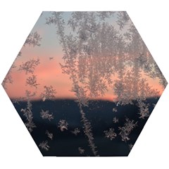 Hardest-frost-winter-cold-frozen Wooden Puzzle Hexagon by Amaryn4rt