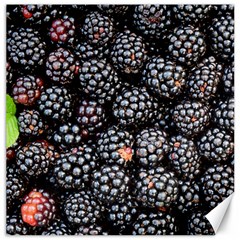 Blackberries-background-black-dark Canvas 12  X 12  by Amaryn4rt