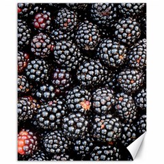 Blackberries-background-black-dark Canvas 16  X 20  by Amaryn4rt