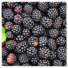 Blackberries-background-black-dark Wooden Puzzle Square by Amaryn4rt