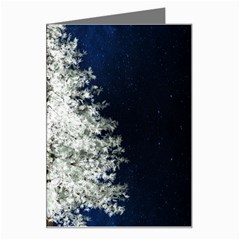 Tree Pine White Starlight Night Winter Christmas Greeting Card