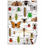 Insects-seamless-pattern Canvas 24  x 36  23.35 x34.74  Canvas - 1