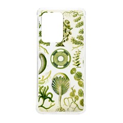 Algae Green Algae Chlorophyceae Samsung Galaxy S20 Ultra 6 9 Inch Tpu Uv Case by Pakjumat