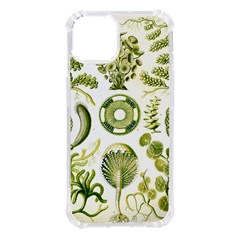 Algae Green Algae Chlorophyceae Iphone 14 Tpu Uv Print Case by Pakjumat