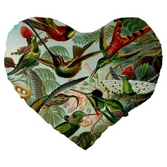 Humming Birds Trochilidae Large 19  Premium Heart Shape Cushions by Pakjumat