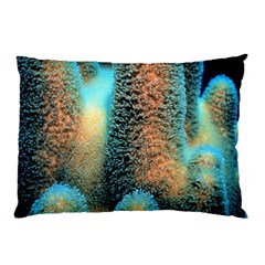 Photo Coral Great Scleractinia Pillow Case (two Sides) by Pakjumat