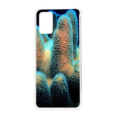 Photo Coral Great Scleractinia Samsung Galaxy S20plus 6 7 Inch Tpu Uv Case by Pakjumat