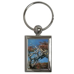 Botanical Wonders Of Argentina  Key Chain (rectangle) by dflcprintsclothing