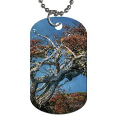 Botanical Wonders Of Argentina  Dog Tag (one Side) by dflcprintsclothing