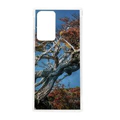 Botanical Wonders Of Argentina  Samsung Galaxy Note 20 Ultra Tpu Uv Case by dflcprintsclothing