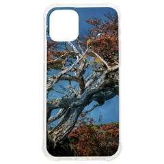 Botanical Wonders of Argentina  iPhone 12/12 Pro TPU UV Print Case