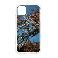 Botanical Wonders Of Argentina  Iphone 11 Tpu Uv Print Case by dflcprintsclothing