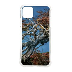 Botanical Wonders Of Argentina  Iphone 11 Pro Max 6 5 Inch Tpu Uv Print Case