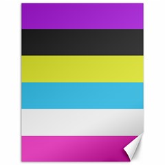 Bigender Flag Copy Canvas 12  X 16  by Dutashop