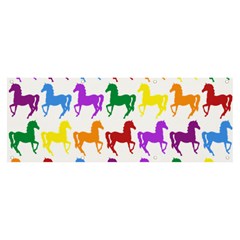 Colorful Horse Background Wallpaper Banner and Sign 8  x 3 
