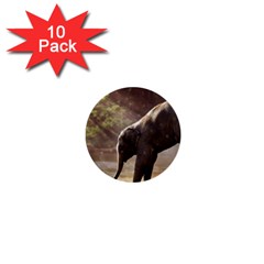 Baby Elephant Watering Hole 1  Mini Buttons (10 Pack)  by Sarkoni