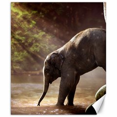 Baby Elephant Watering Hole Canvas 20  X 24 