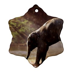 Baby Elephant Watering Hole Snowflake Ornament (two Sides)