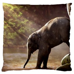 Baby Elephant Watering Hole Large Cushion Case (one Side)