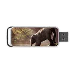 Baby Elephant Watering Hole Portable Usb Flash (one Side)
