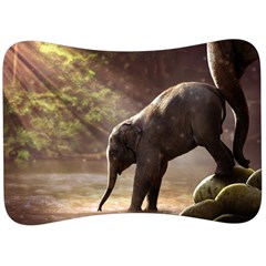 Baby Elephant Watering Hole Velour Seat Head Rest Cushion by Sarkoni