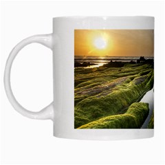 Coast Algae Sea Beach Shore White Mug by Sarkoni