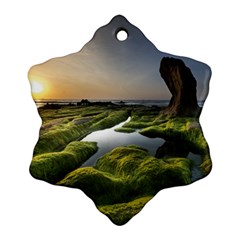 Coast Algae Sea Beach Shore Ornament (snowflake)