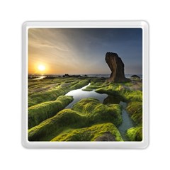 Coast Algae Sea Beach Shore Memory Card Reader (Square)