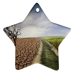 Climate Landscape Ornament (star) by Sarkoni