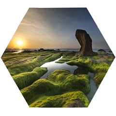 Coast Algae Sea Beach Shore Wooden Puzzle Hexagon