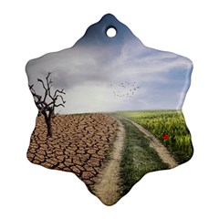 Climate Landscape Ornament (snowflake)