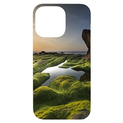 Coast Algae Sea Beach Shore Iphone 14 Pro Max Black Uv Print Case by Sarkoni