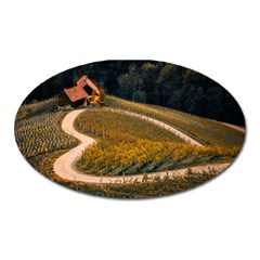 Vineyard Agriculture Farm Autumn Oval Magnet by Sarkoni