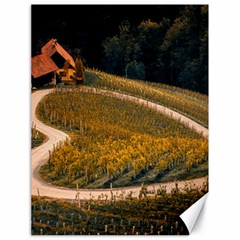 Vineyard Agriculture Farm Autumn Canvas 18  X 24 