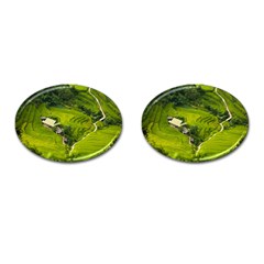 Apartment Curve Path Step Cufflinks (oval)