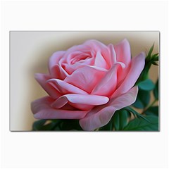 Rose Pink Flowers Pink Saturday Postcard 4 x 6  (pkg Of 10) by Amaryn4rt