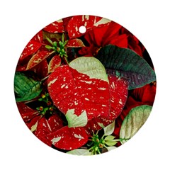 Poinsettia Christmas Star Plant Ornament (round) by Sarkoni