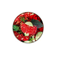 Poinsettia Christmas Star Plant Hat Clip Ball Marker (4 Pack)