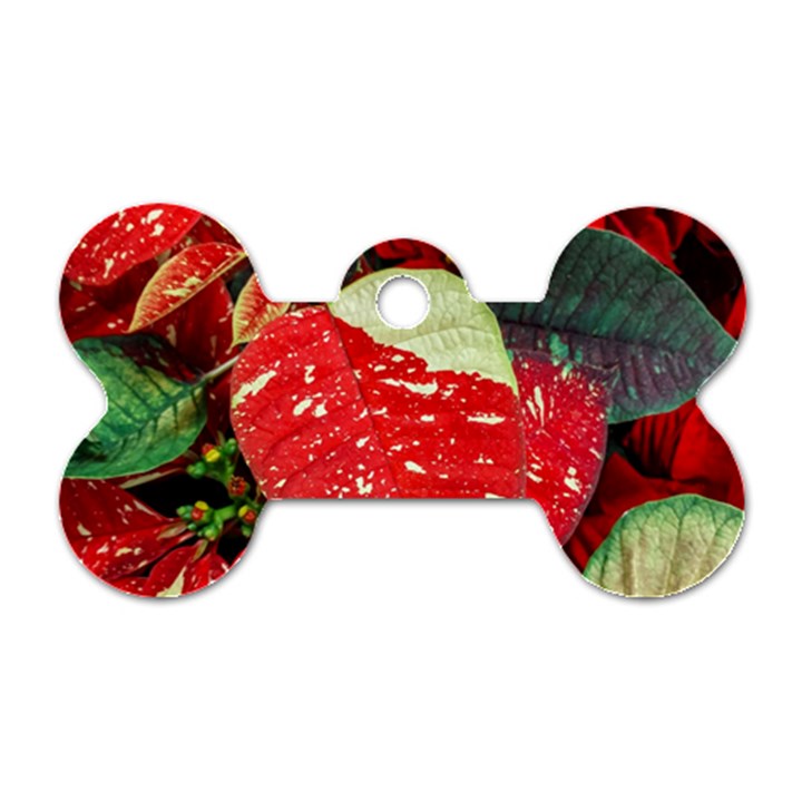 Poinsettia Christmas Star Plant Dog Tag Bone (Two Sides)