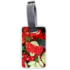 Poinsettia Christmas Star Plant Luggage Tag (one Side)