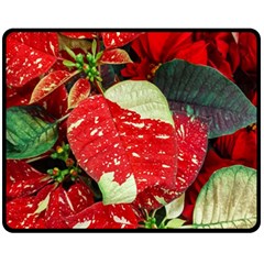 Poinsettia Christmas Star Plant Two Sides Fleece Blanket (medium) by Sarkoni