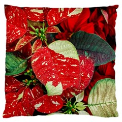 Poinsettia Christmas Star Plant Large Premium Plush Fleece Cushion Case (two Sides)