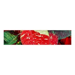 Poinsettia Christmas Star Plant Velvet Scrunchie by Sarkoni