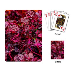 Red Leaves Plant Nature Leaves Playing Cards Single Design (rectangle)