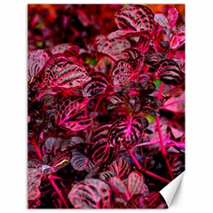 Red Leaves Plant Nature Leaves Canvas 18  X 24  by Sarkoni