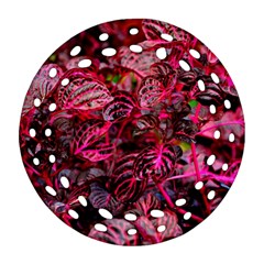 Red Leaves Plant Nature Leaves Round Filigree Ornament (two Sides) by Sarkoni