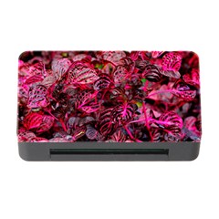 Red Leaves Plant Nature Leaves Memory Card Reader With Cf