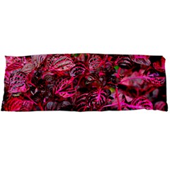 Red Leaves Plant Nature Leaves Body Pillow Case Dakimakura (two Sides)