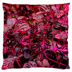 Red Leaves Plant Nature Leaves Standard Premium Plush Fleece Cushion Case (one Side) by Sarkoni